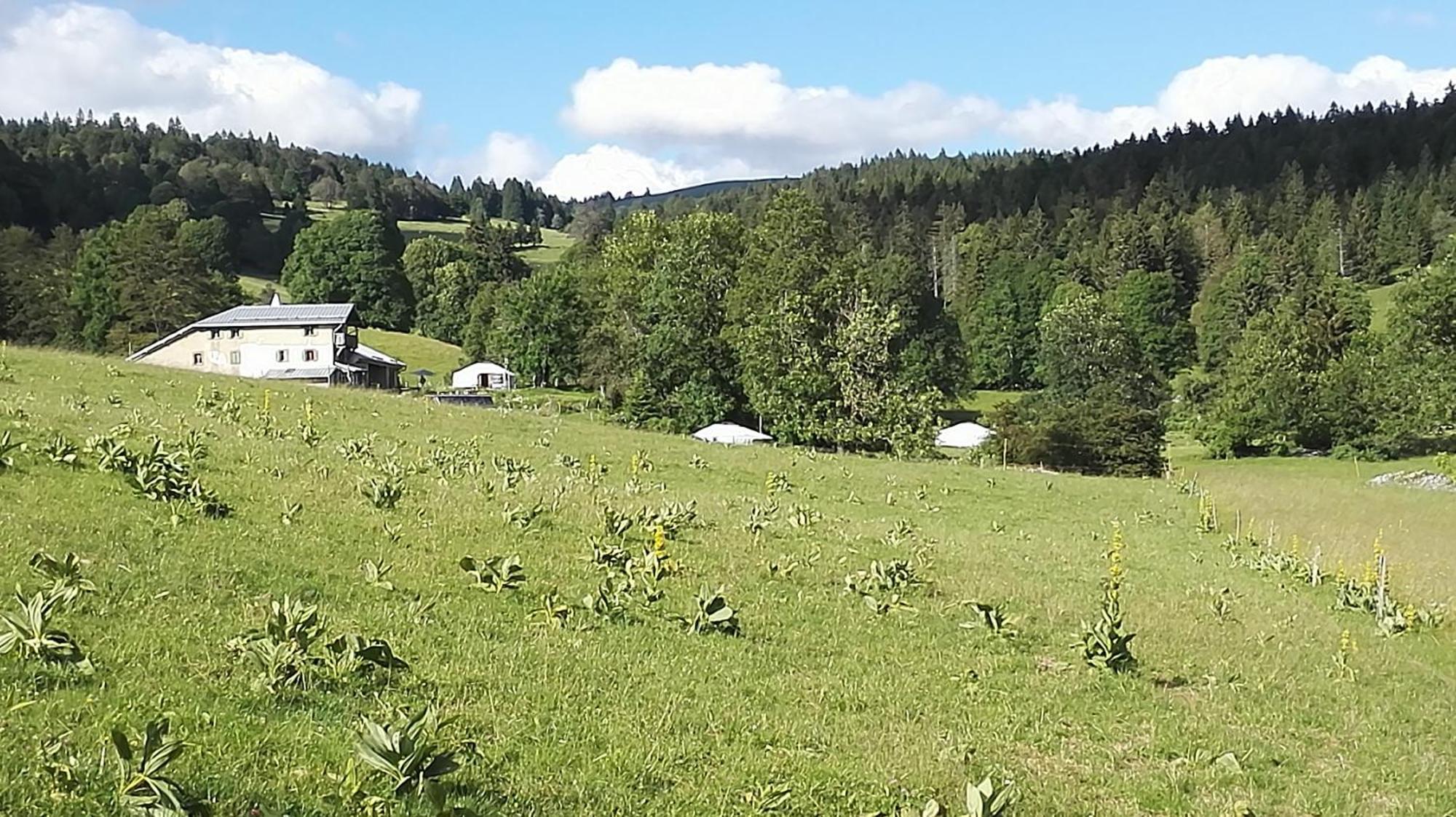 La Petite Echelle Rochejean