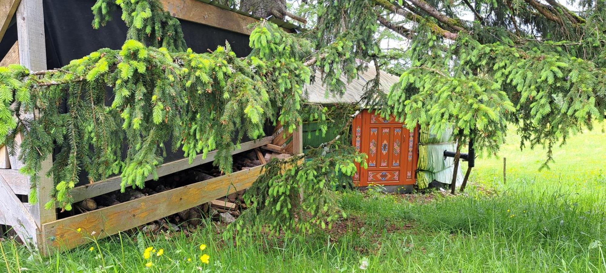 La Petite Echelle Glamping *